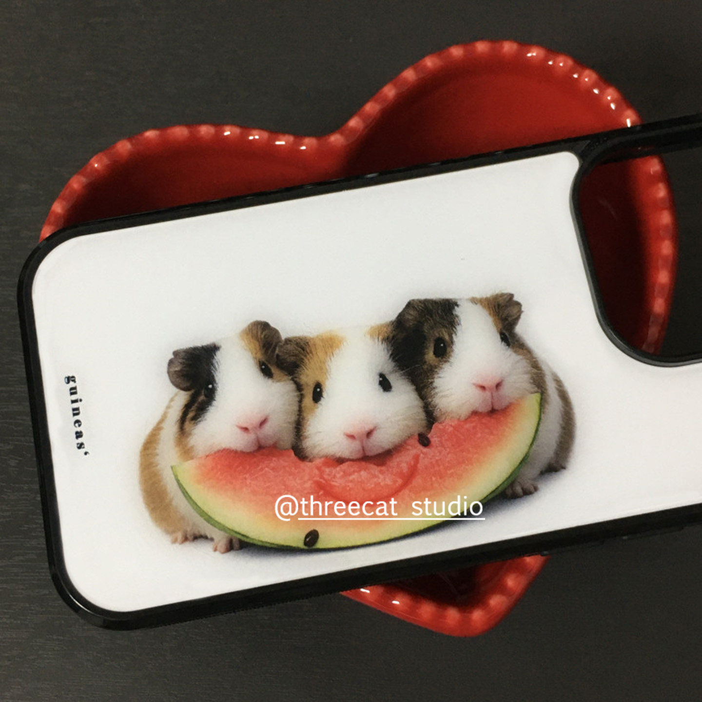 韓国のインスタ映えするモルモットがスイカを食べるデザインのi - Phone Cases Korea のレビューと価格